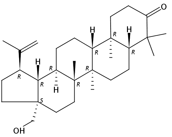 Betulone  CAS號：7020-34-0 中藥對照品標(biāo)準(zhǔn)品