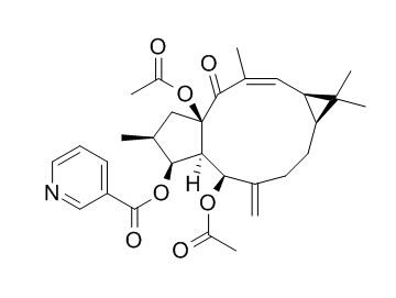 千金子素L8 CAS號：218916-53-1 中藥對照品標(biāo)準(zhǔn)品