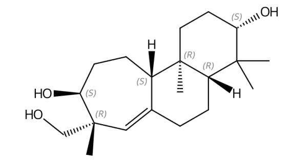 2569209-22-7