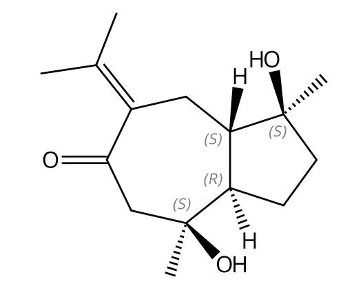 Phaeocaulisin E | CAS No.1443040-31-0