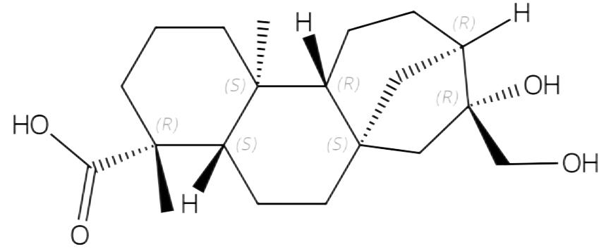 ent-16beta,17-二羥基-19-異貝殼杉烷酸 | CAS No.3301-61-9