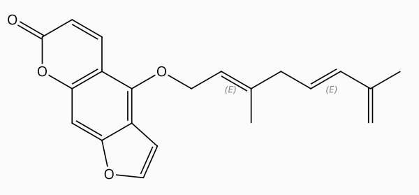 去氫羌活內(nèi)酯 | CAS No.88206-51-3