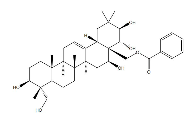 28-O-苯甲?；赘傩萝赵?/></div>
								  <div   id=