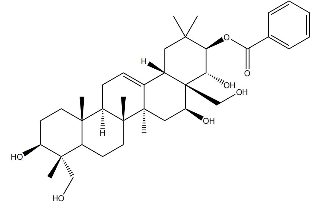 21-O-苯甲?；赘傩萝赵?/></div>
								  <div   id=