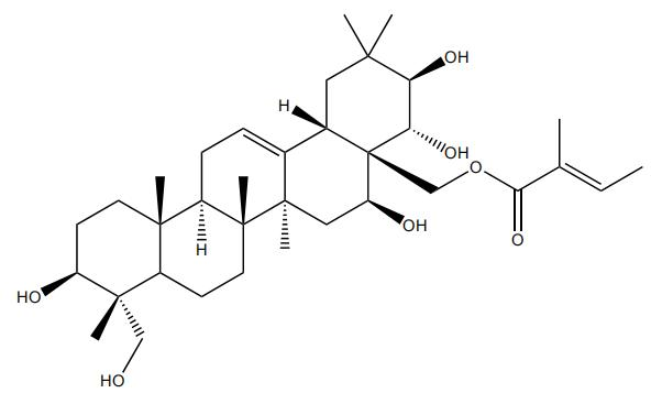 28-O-順芷?；赘傩萝赵?/></div>
								  <div   id=