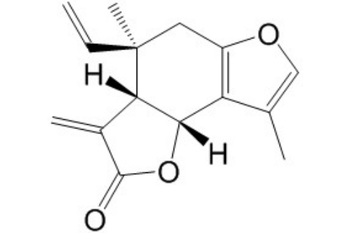 異烏藥內(nèi)酯 丨CAS No.957-66-4