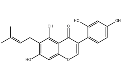 羽扇豆異黃酮 丨CAS No.41743-56-0