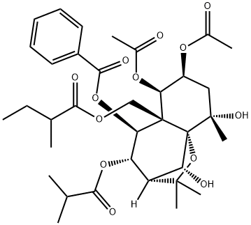 苦皮素E 丨CAS No.403613-20-7