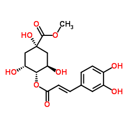 4-O-(E)-咖啡?；鼘幩峒柞?丨CAS No.123372-74-7