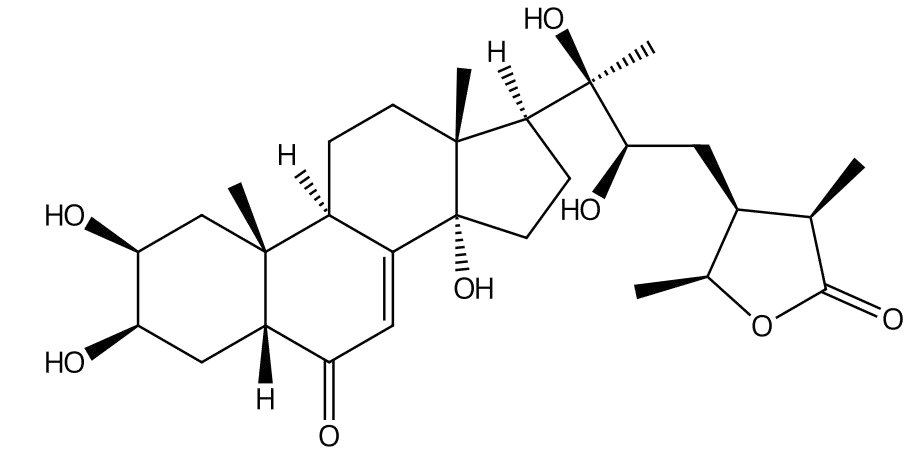 25-Epi-28-epi-cyasterone 丨CAS No.851727-39-4